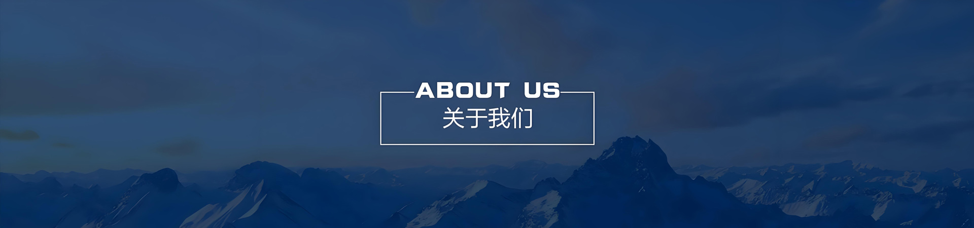 关于我们